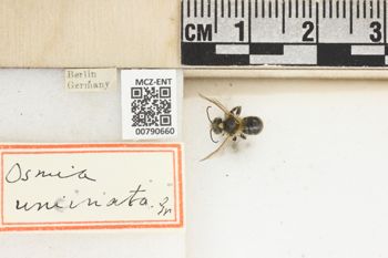 Media type: image;   Entomology 790660 Aspect: Labels